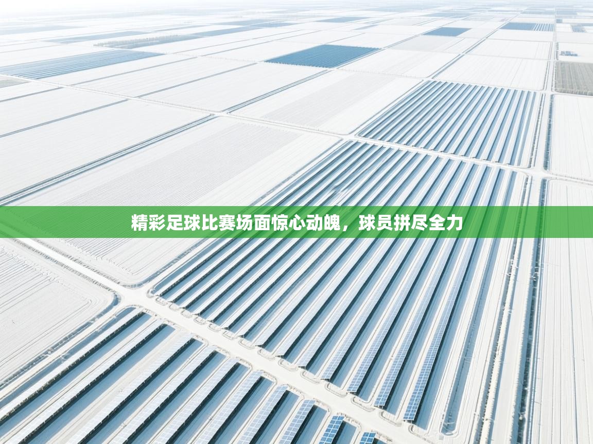 精彩足球比赛场面惊心动魄，球员拼尽全力