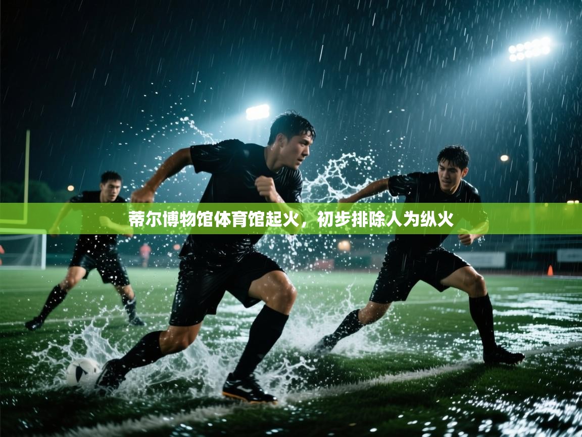 蒂尔博物馆体育馆起火，初步排除人为纵火