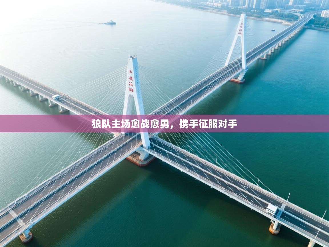 狼队主场愈战愈勇，携手征服对手